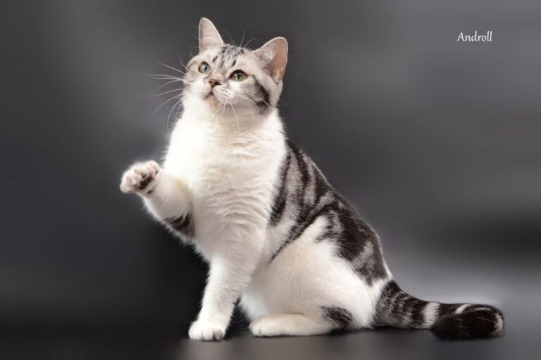 missuri