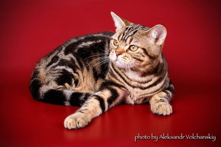 phoca_thumb_l_02-1