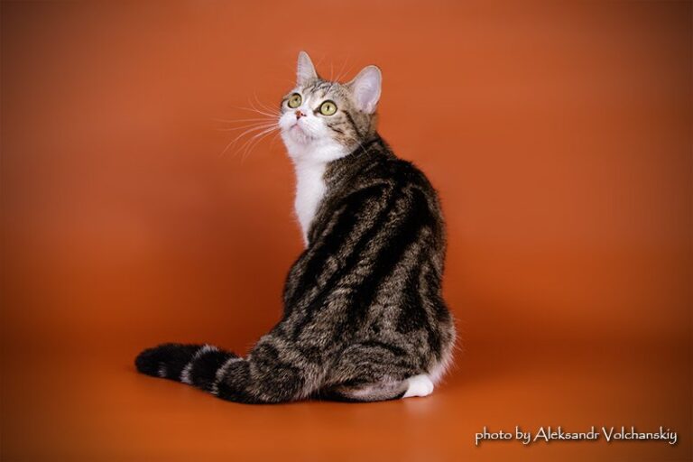 phoca_thumb_l_0N7A7553